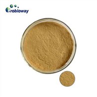 Bacillus Megaterium Akvakultur